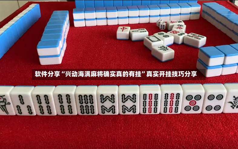 软件分享“兴动海满麻将确实真的有挂”真实开挂技巧分享-第3张图片