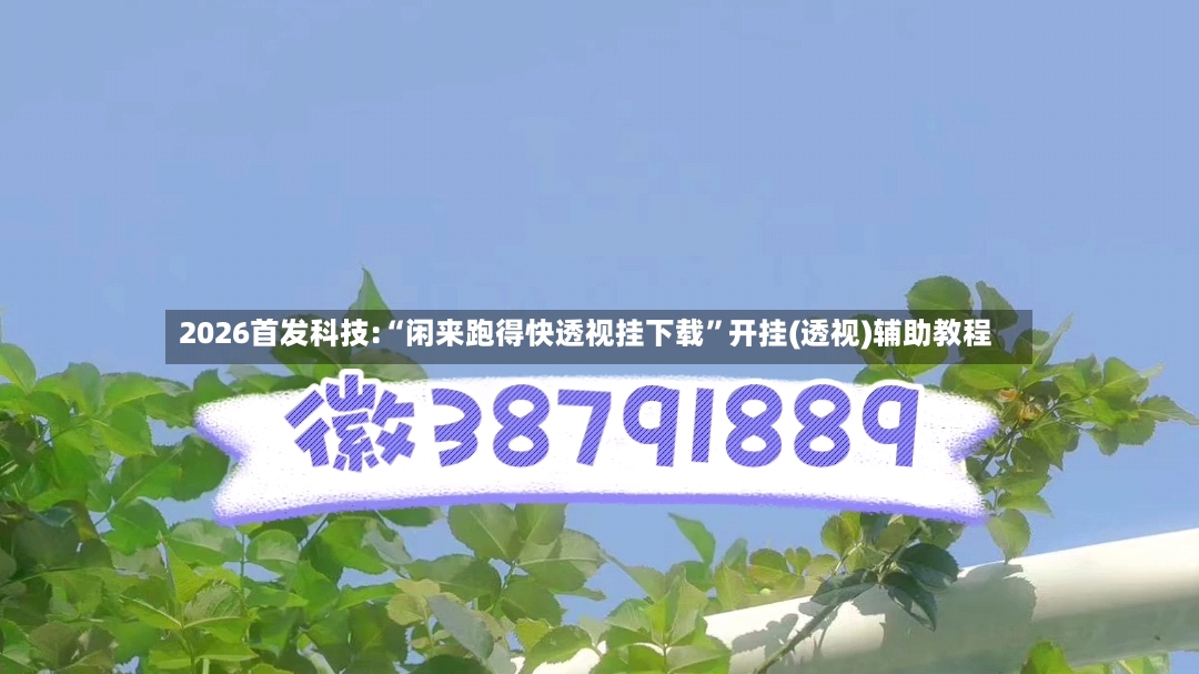 2026首发科技:“闲来跑得快透视挂下载”开挂(透视)辅助教程-第3张图片