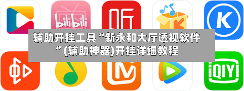 辅助开挂工具“新永和大厅透视软件”(辅助神器)开挂详细教程-第3张图片