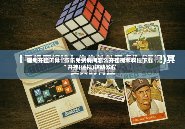辅助开挂工具“微乐免费房间怎么开挂视频教程下载”开挂(透视)辅助教程