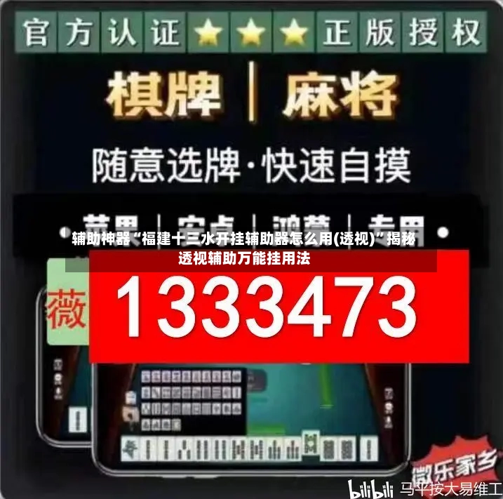 辅助神器“福建十三水开挂辅助器怎么用(透视)”揭秘透视辅助万能挂用法-第3张图片