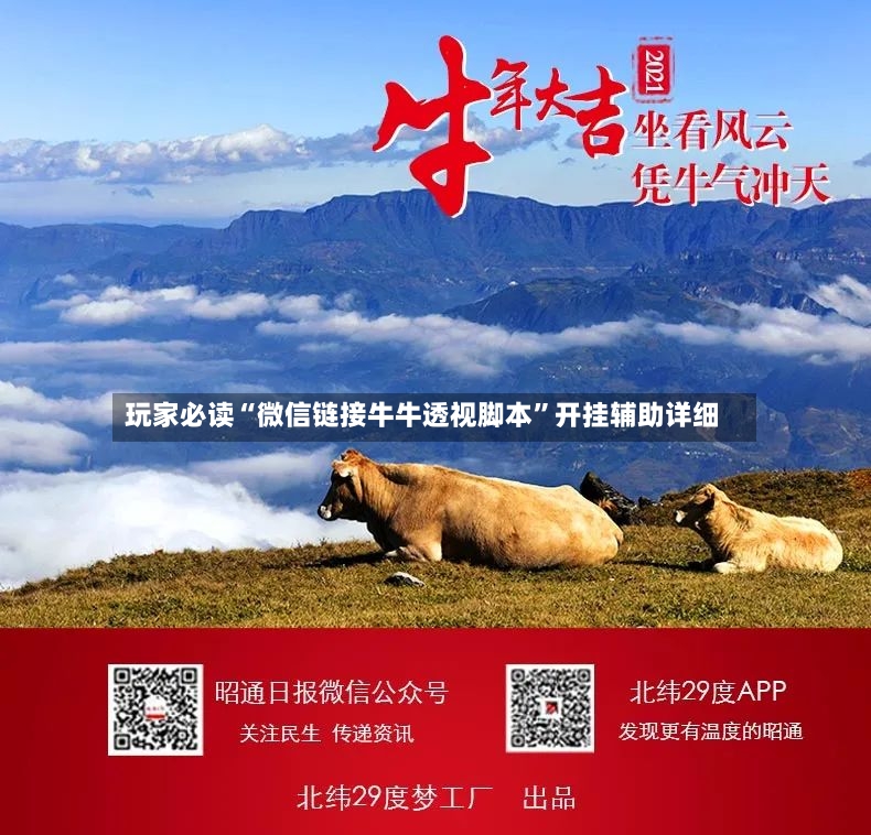 玩家必读“微信链接牛牛透视脚本”开挂辅助详细-第3张图片