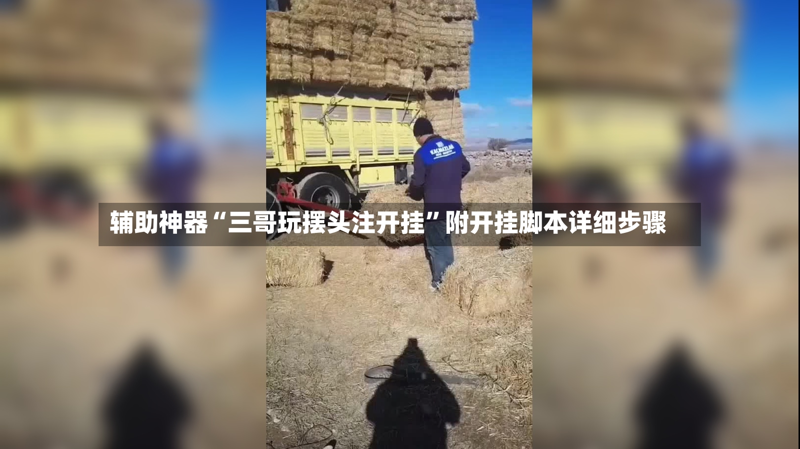 辅助神器“三哥玩摆头注开挂”附开挂脚本详细步骤-第3张图片
