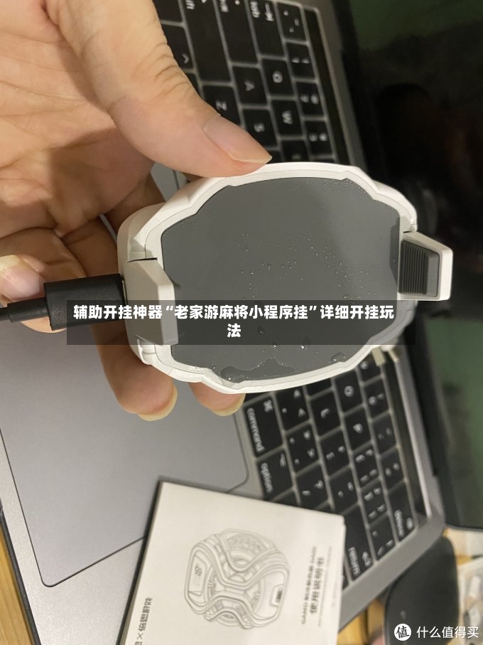 辅助开挂神器“老家游麻将小程序挂”详细开挂玩法-第2张图片