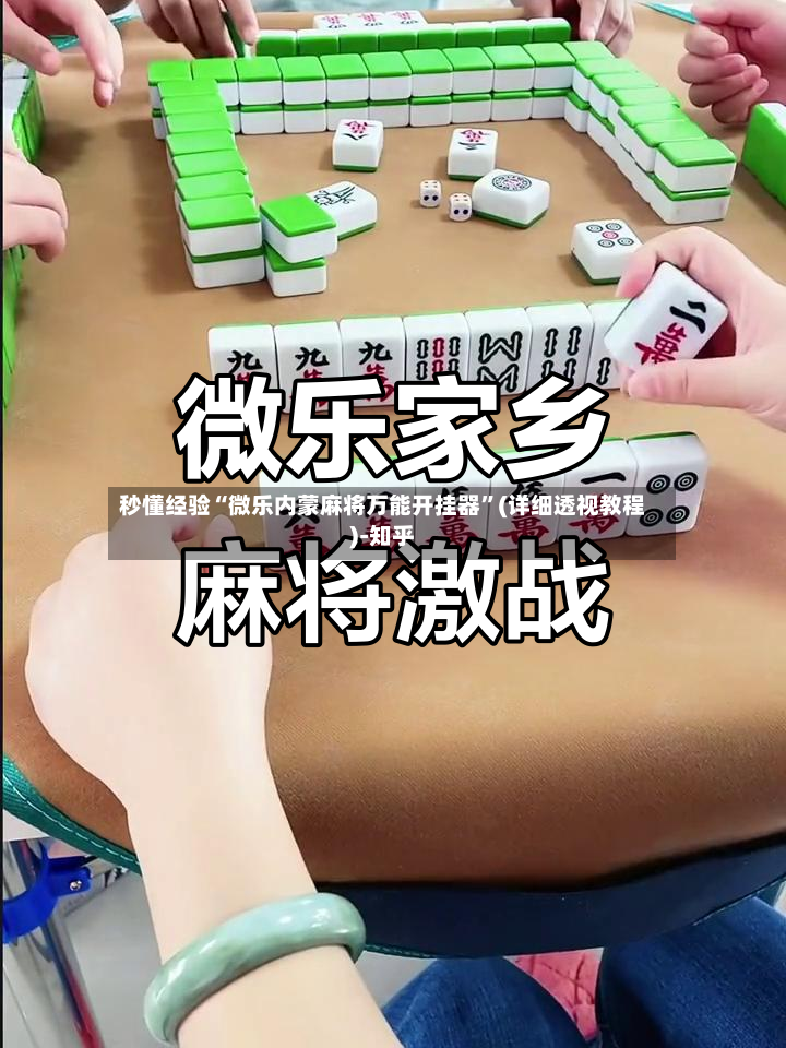 秒懂经验“微乐内蒙麻将万能开挂器”(详细透视教程)-知乎-第2张图片