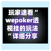 玩家速看“wepoker透视挂的玩法”详细分享装挂步骤-第2张图片