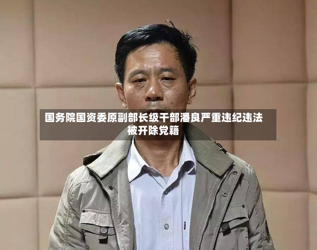 国务院国资委原副部长级干部潘良严重违纪违法被开除党籍-第2张图片