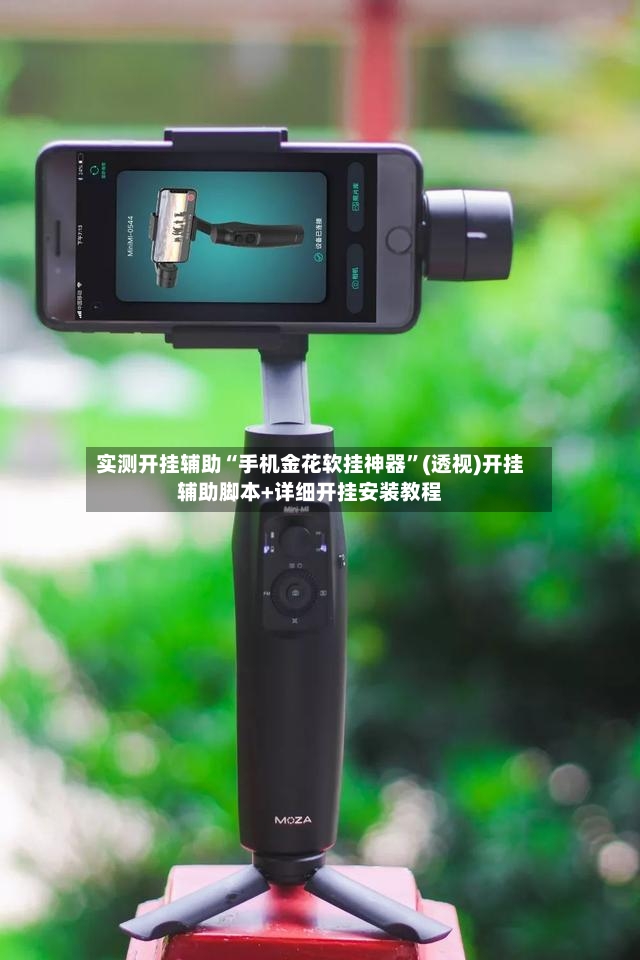 实测开挂辅助“手机金花软挂神器”(透视)开挂辅助脚本+详细开挂安装教程-第2张图片
