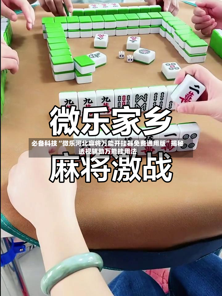 必备科技“微乐河北麻将万能开挂器免费通用版”揭秘透视辅助万能挂用法-第2张图片