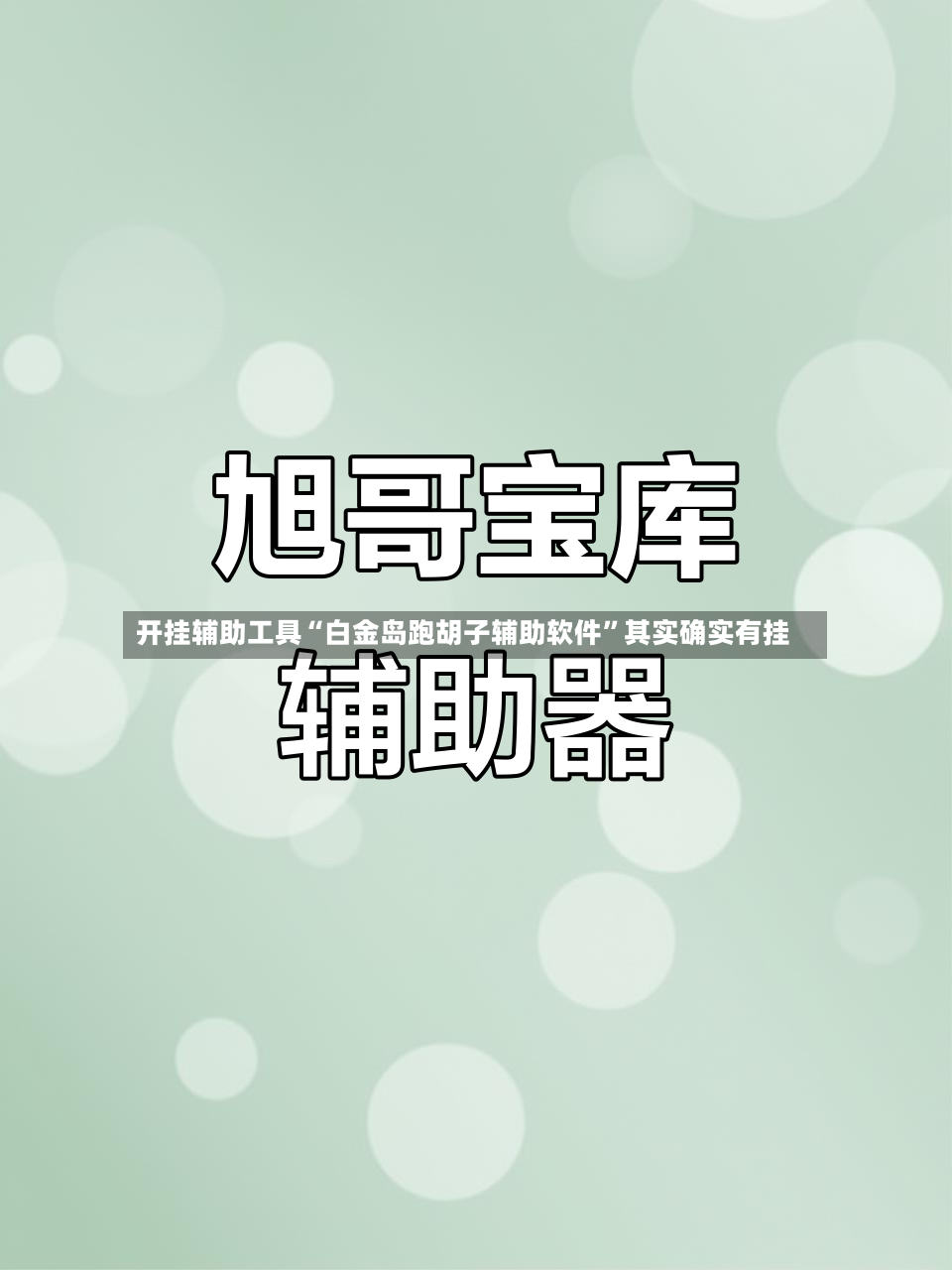 开挂辅助工具“白金岛跑胡子辅助软件”其实确实有挂
