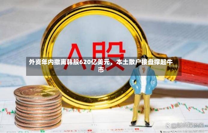 外资年内撤离韩股620亿美元，本土散户接盘撑起牛市-第2张图片