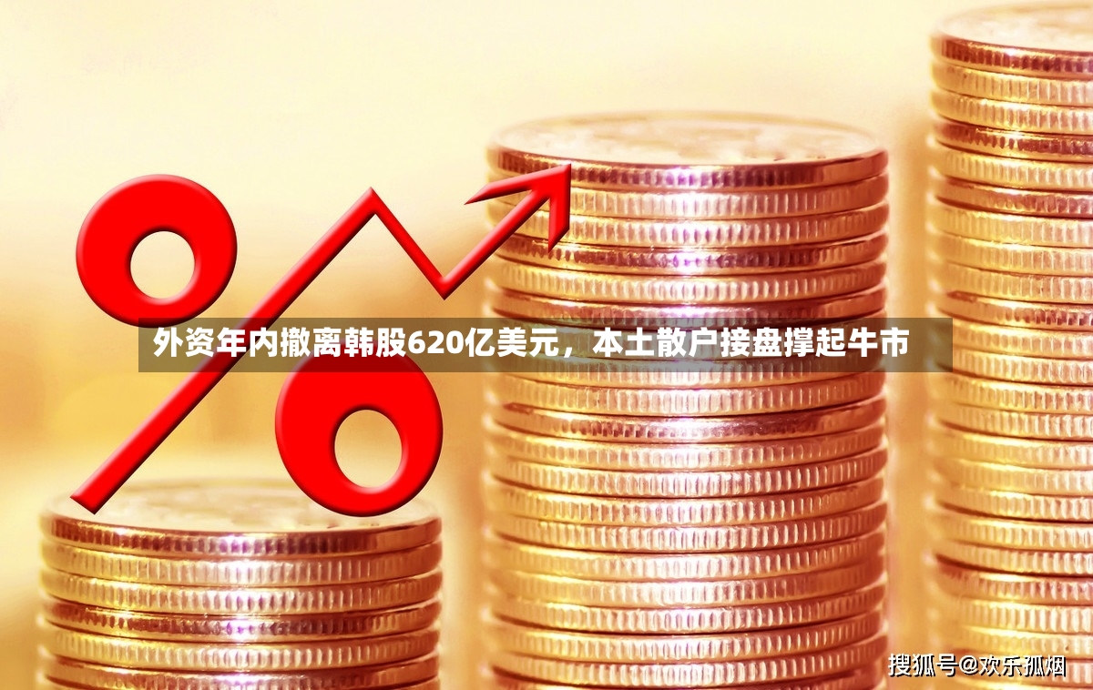 外资年内撤离韩股620亿美元	，本土散户接盘撑起牛市-第3张图片