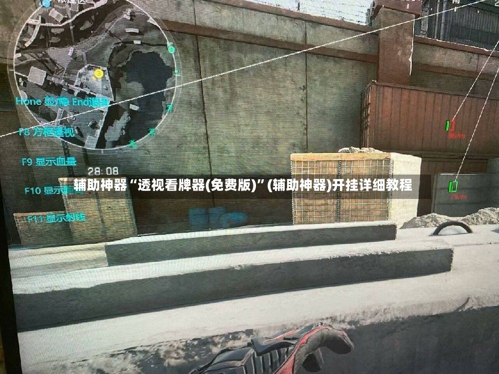 辅助神器“透视看牌器(免费版)”(辅助神器)开挂详细教程-第3张图片