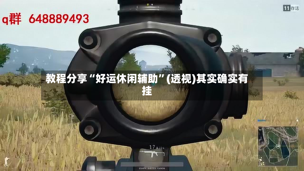 教程分享“好运休闲辅助	”(透视)其实确实有挂-第2张图片
