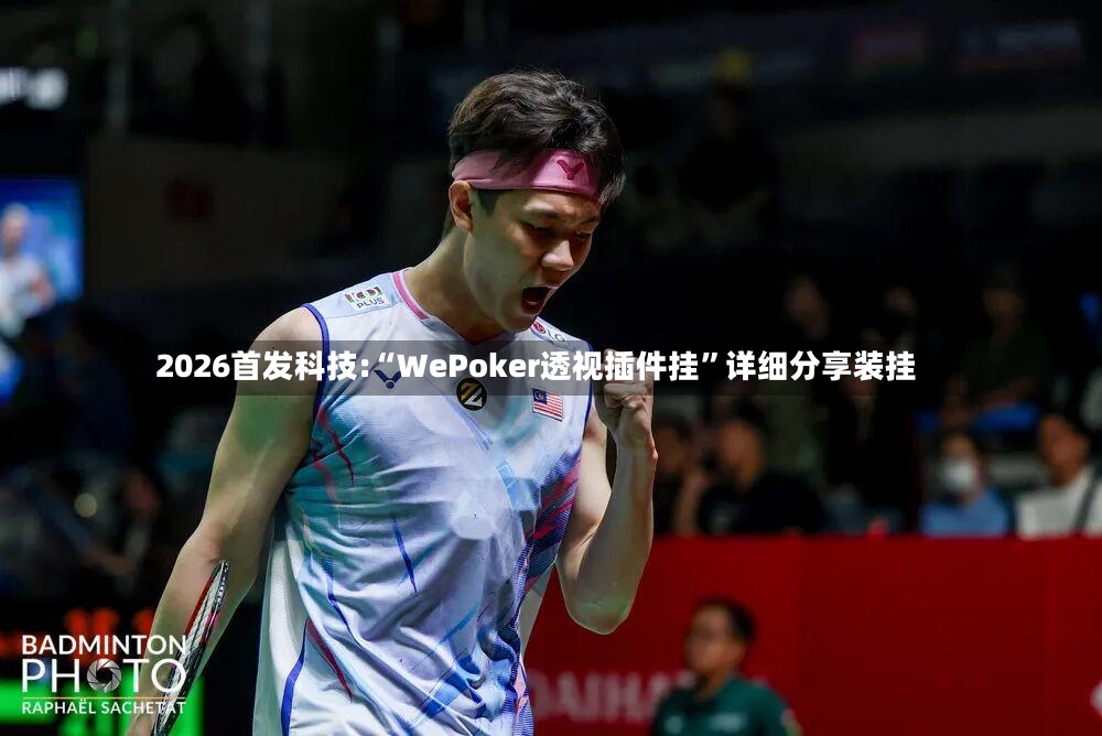 2026首发科技:“WePoker透视插件挂	”详细分享装挂-第2张图片