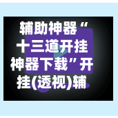 辅助神器“十三道开挂神器下载”开挂(透视)辅助神器