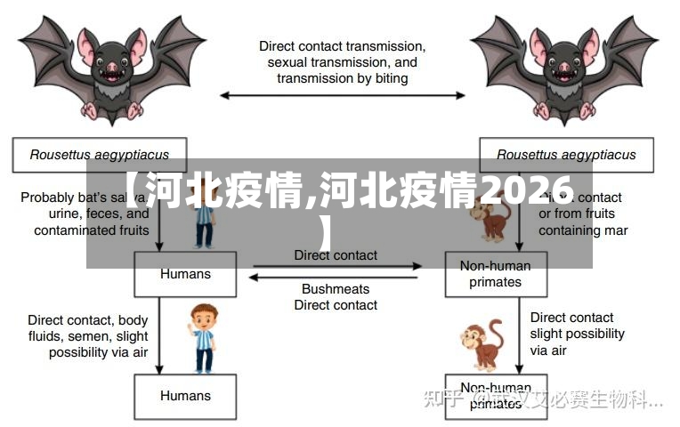 【河北疫情,河北疫情2026】