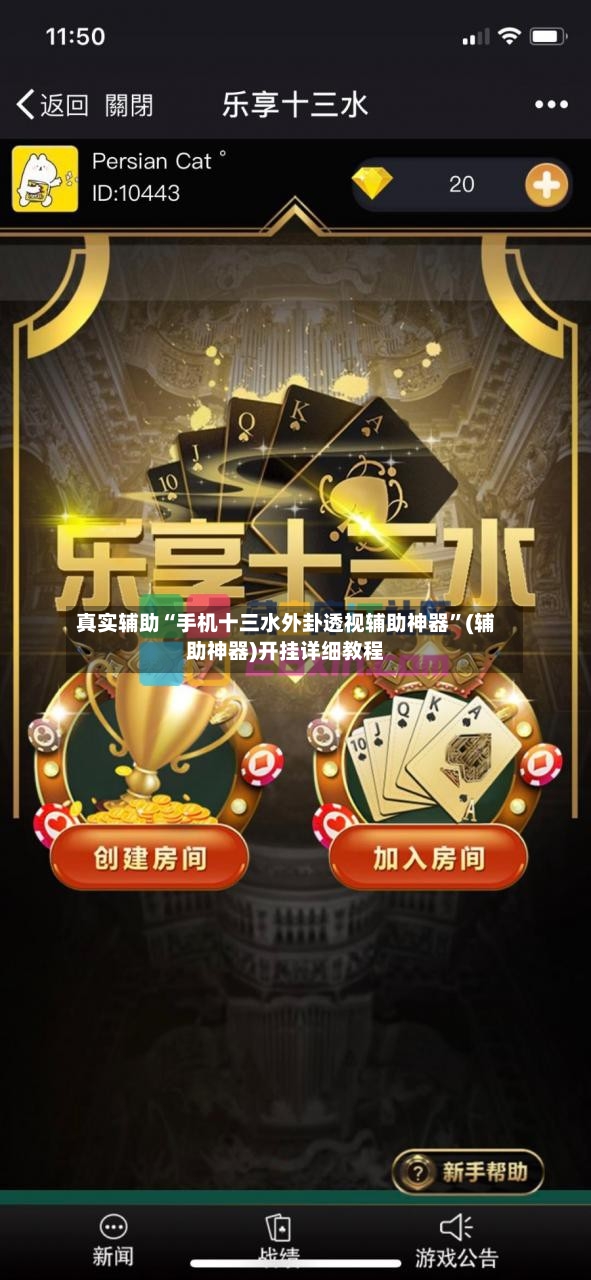 真实辅助“手机十三水外卦透视辅助神器	”(辅助神器)开挂详细教程-第3张图片