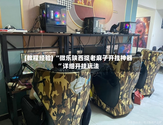 [教程经验] “微乐陕西捉老麻子开挂神器”详细开挂玩法