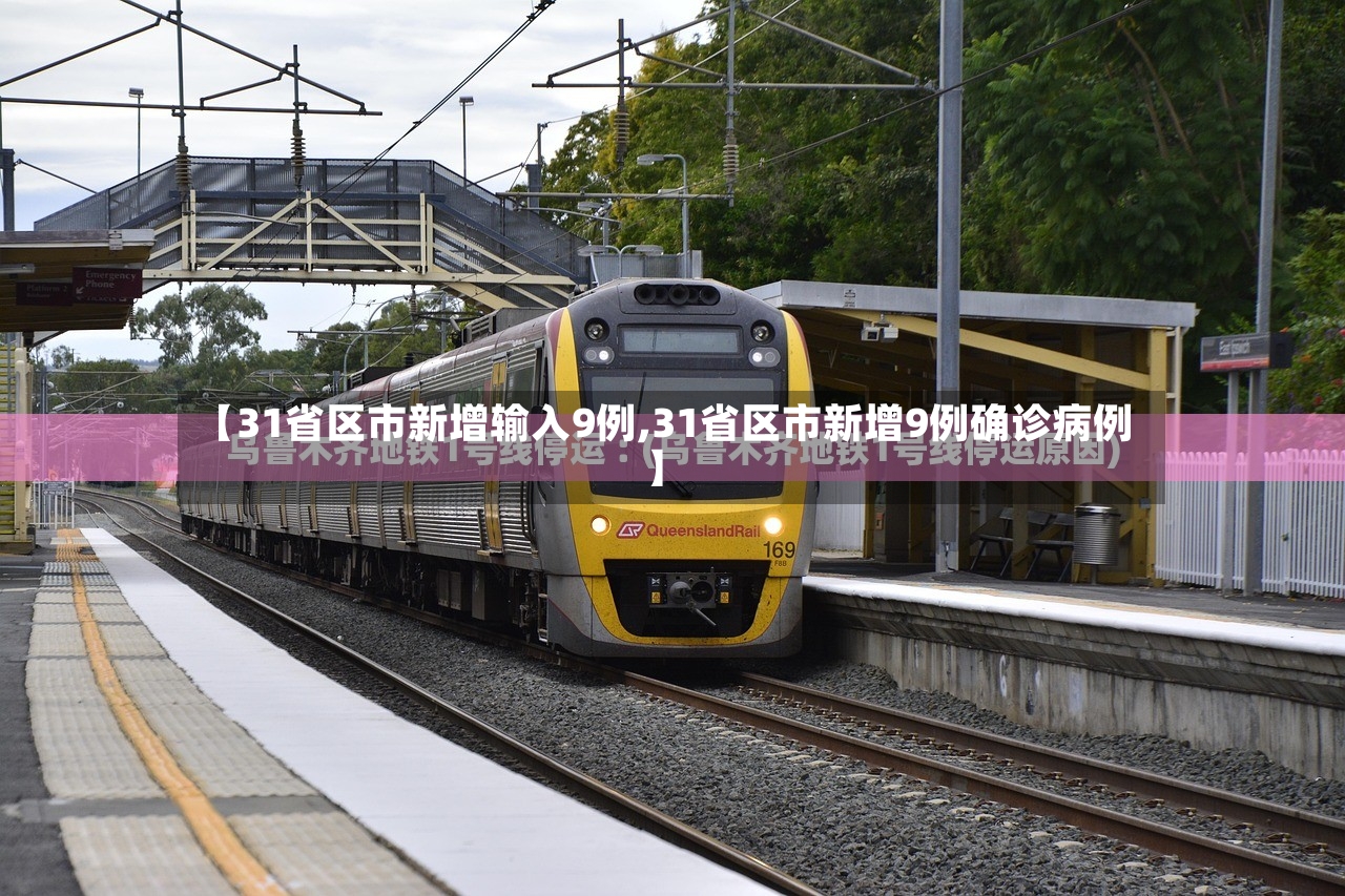 【31省区市新增输入9例,31省区市新增9例确诊病例】