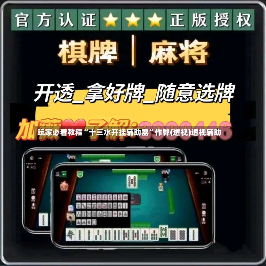 玩家必看教程“十三水开挂辅助器”作弊(透视)透视辅助-第2张图片