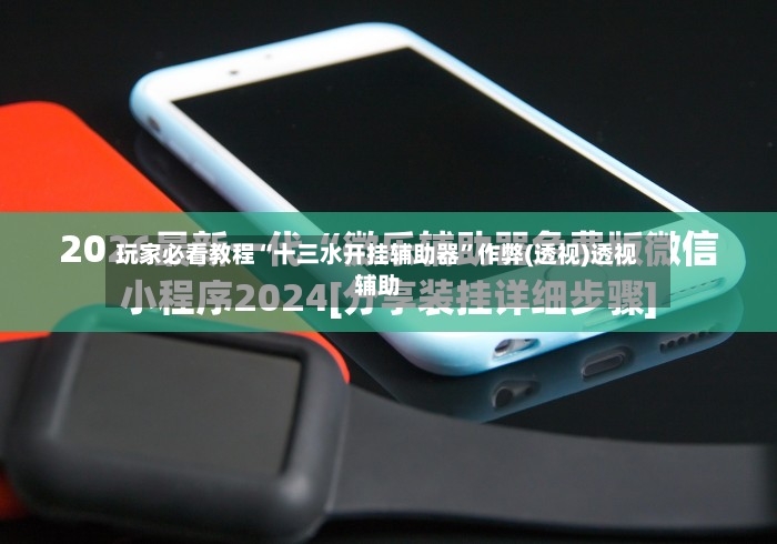 玩家必看教程“十三水开挂辅助器”作弊(透视)透视辅助