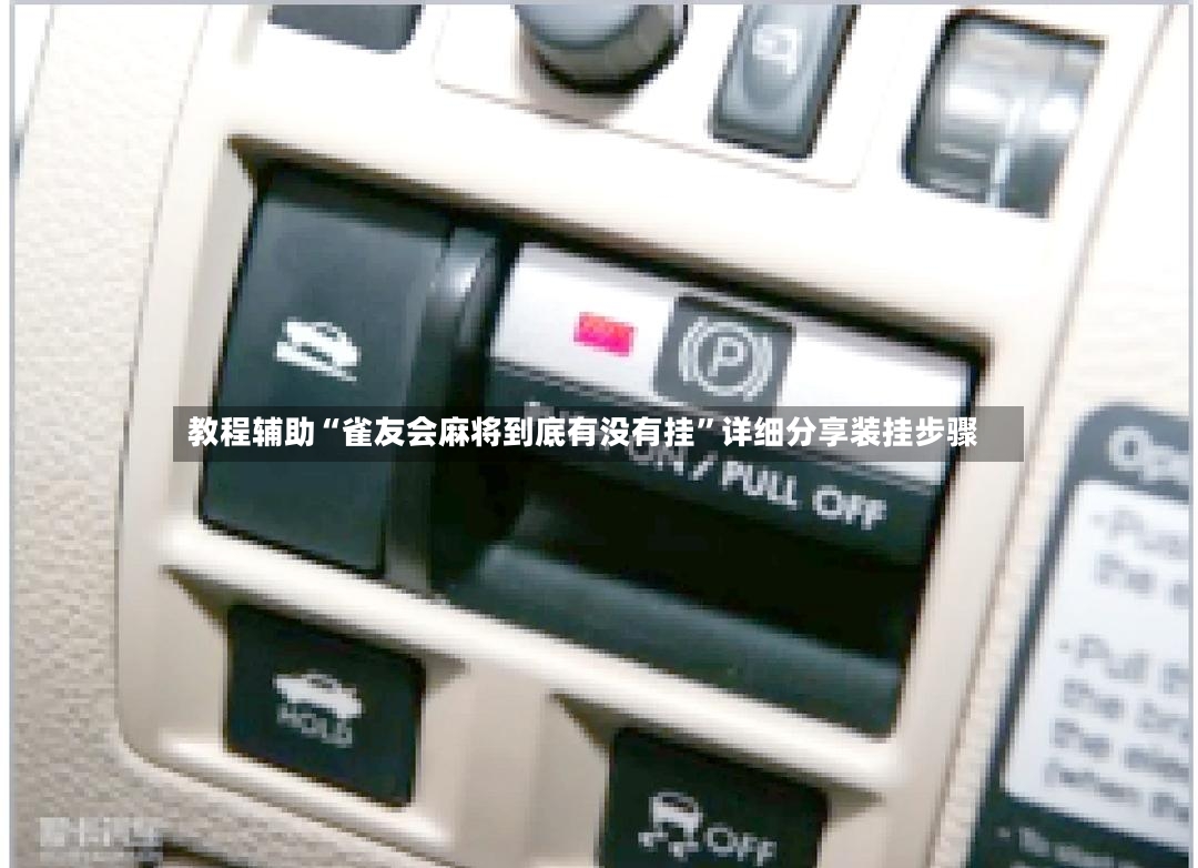 教程辅助“雀友会麻将到底有没有挂	”详细分享装挂步骤-第2张图片