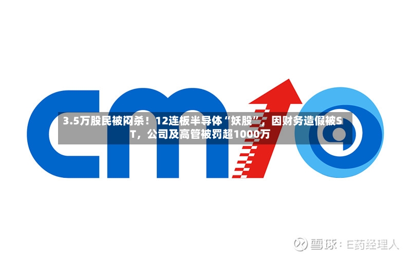 3.5万股民被闷杀！12连板半导体“妖股”，因财务造假被ST，公司及高管被罚超1000万