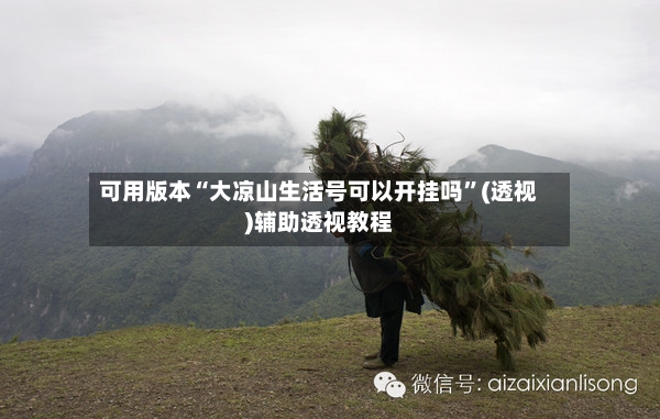 可用版本“大凉山生活号可以开挂吗”(透视)辅助透视教程