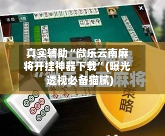 真实辅助“微乐云南麻将开挂神器下载”(曝光透视必备猫腻)