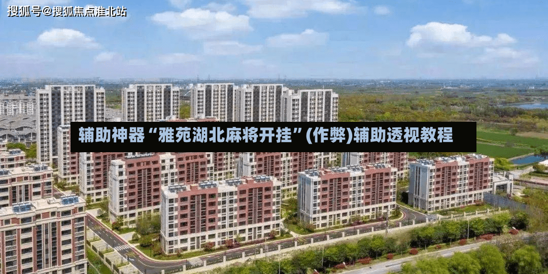 辅助神器“雅苑湖北麻将开挂	”(作弊)辅助透视教程-第2张图片