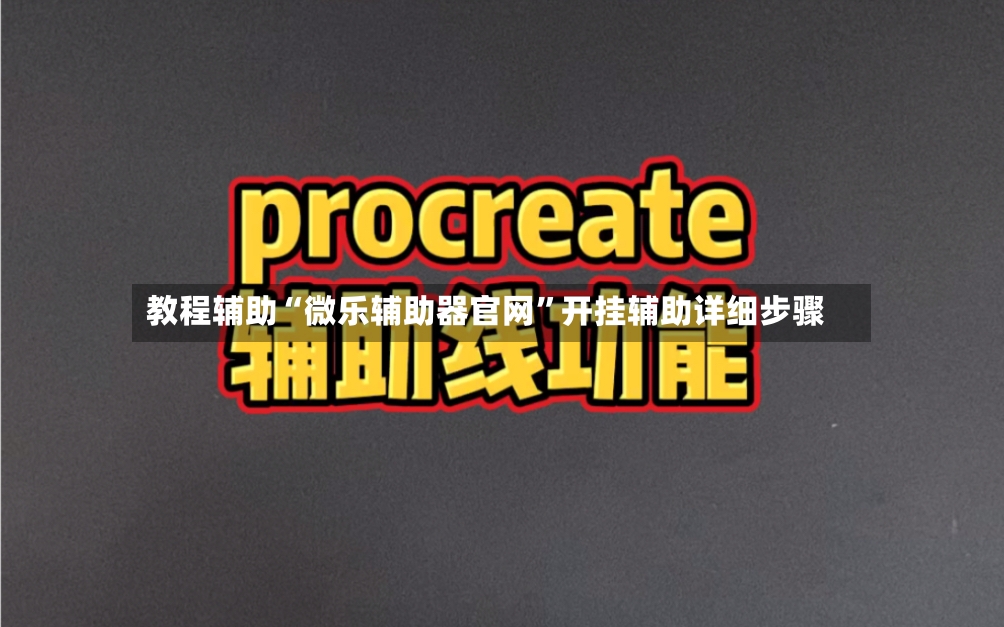 教程辅助“微乐辅助器官网”开挂辅助详细步骤-第3张图片