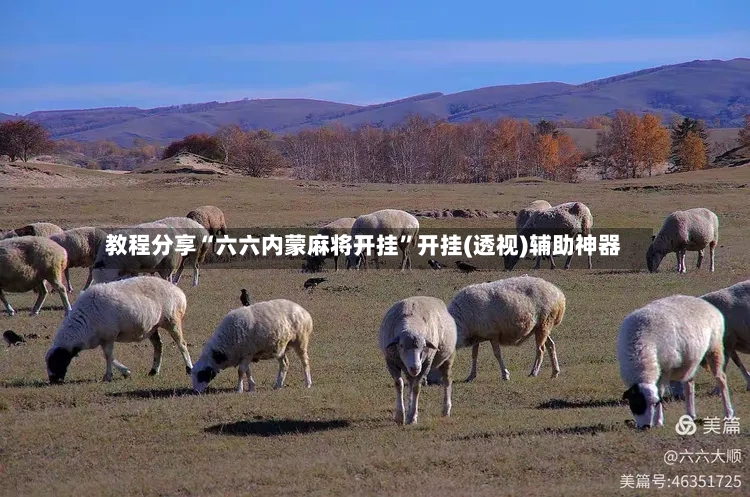 教程分享“六六内蒙麻将开挂”开挂(透视)辅助神器-第2张图片