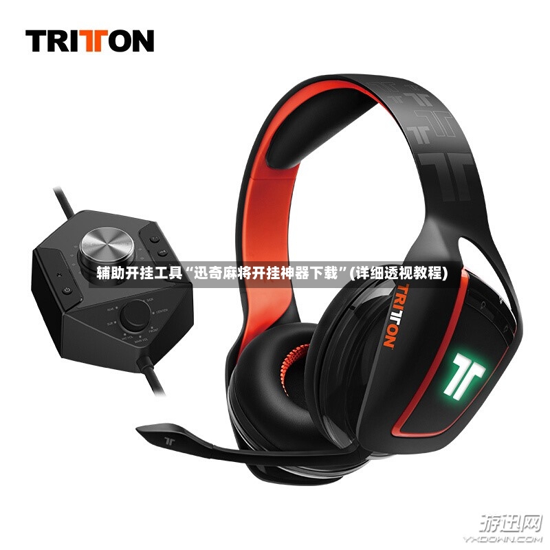 辅助开挂工具“迅奇麻将开挂神器下载”(详细透视教程)-第2张图片