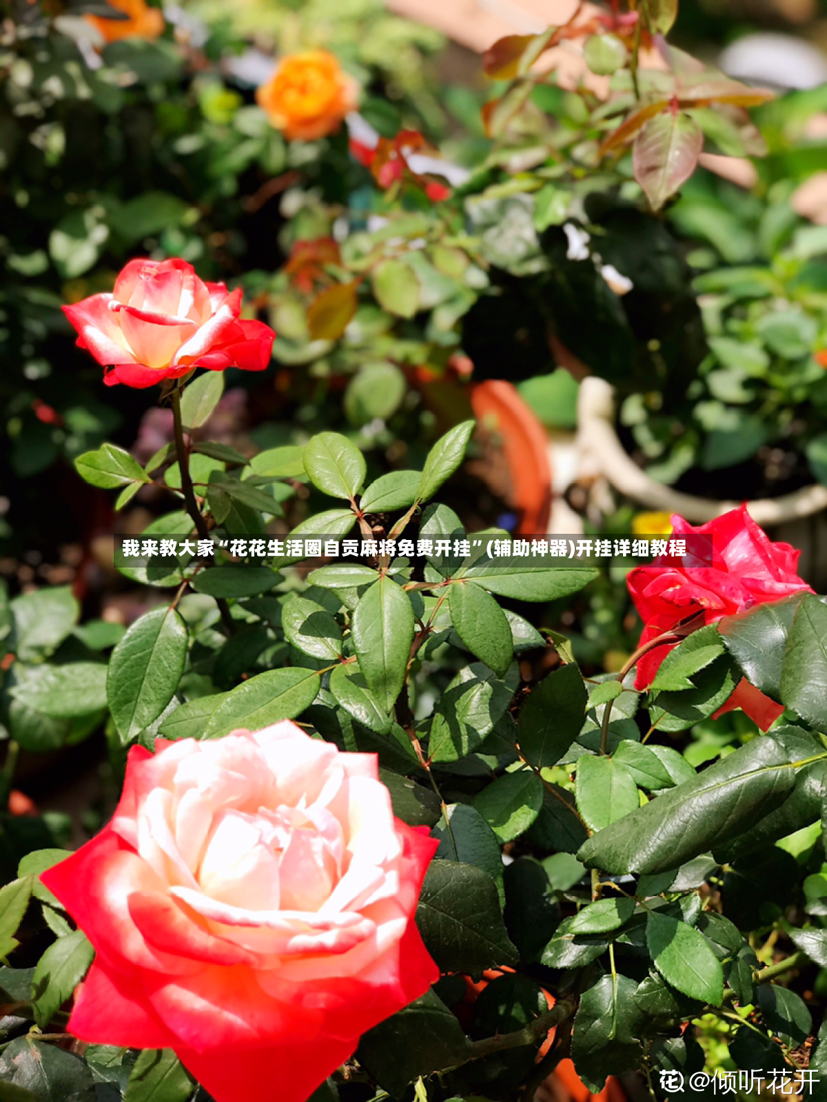 我来教大家“花花生活圈自贡麻将免费开挂	”(辅助神器)开挂详细教程-第2张图片