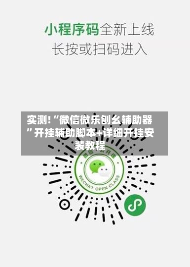 实测!“微信微乐刨幺辅助器”开挂辅助脚本+详细开挂安装教程-第3张图片