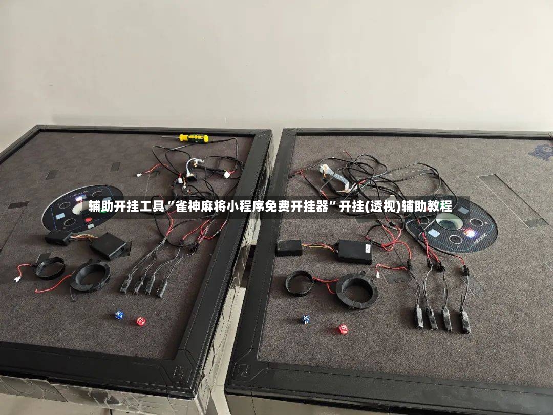 辅助开挂工具“雀神麻将小程序免费开挂器”开挂(透视)辅助教程-第2张图片