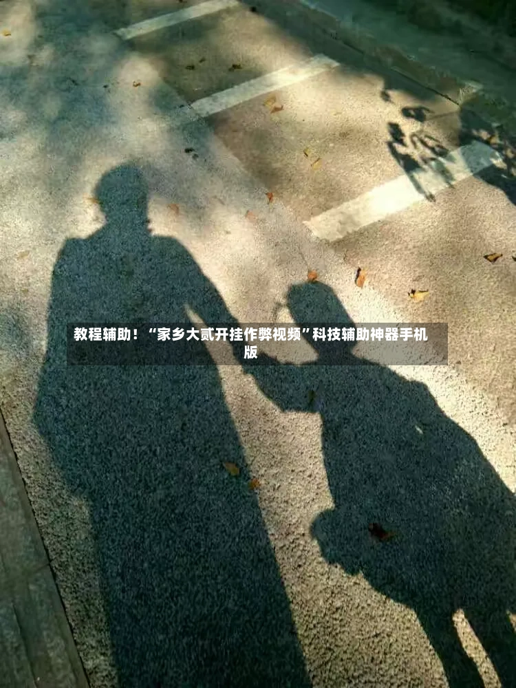 教程辅助！“家乡大贰开挂作弊视频”科技辅助神器手机版-第3张图片