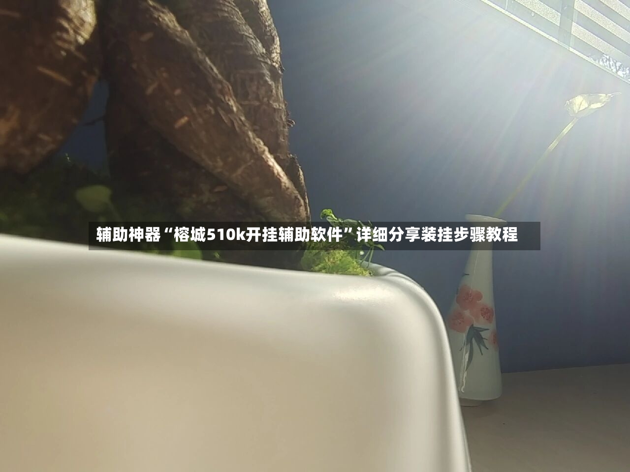 辅助神器“榕城510k开挂辅助软件”详细分享装挂步骤教程-第3张图片