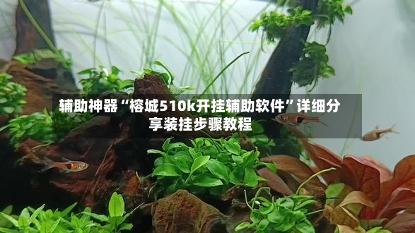 辅助神器“榕城510k开挂辅助软件	”详细分享装挂步骤教程-第2张图片