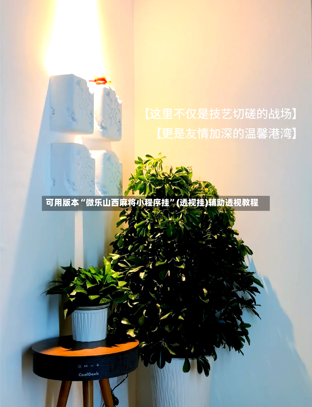 可用版本“微乐山西麻将小程序挂”(透视挂)辅助透视教程-第2张图片