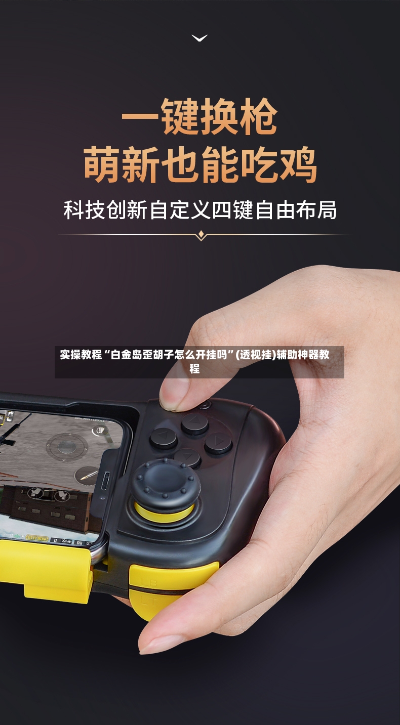 实操教程“白金岛歪胡子怎么开挂吗	”(透视挂)辅助神器教程-第2张图片