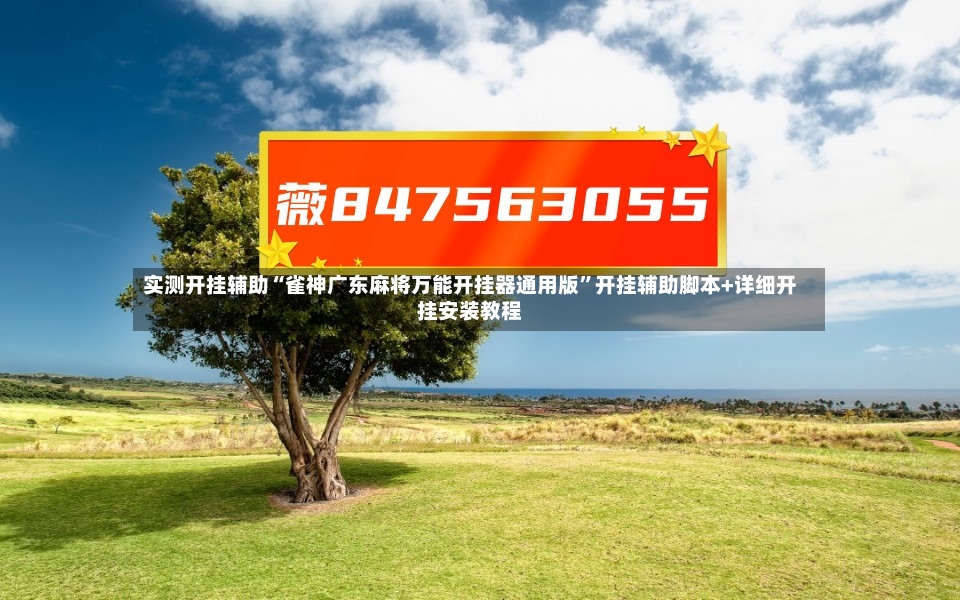 实测开挂辅助“雀神广东麻将万能开挂器通用版”开挂辅助脚本+详细开挂安装教程-第2张图片