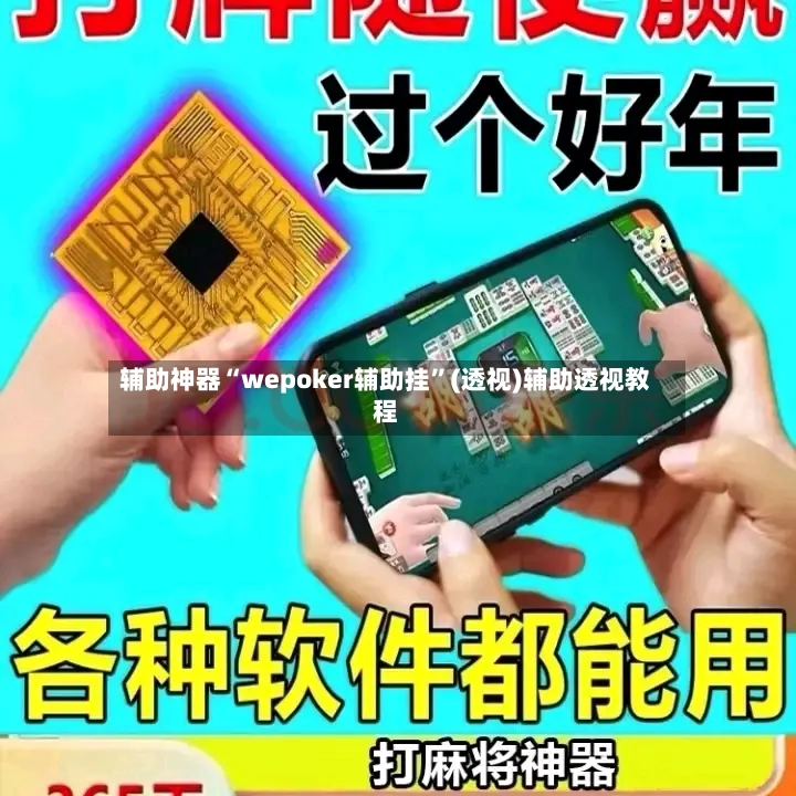 辅助神器“wepoker辅助挂	”(透视)辅助透视教程-第2张图片