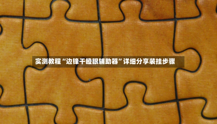实测教程“边锋干瞪眼辅助器”详细分享装挂步骤-第2张图片
