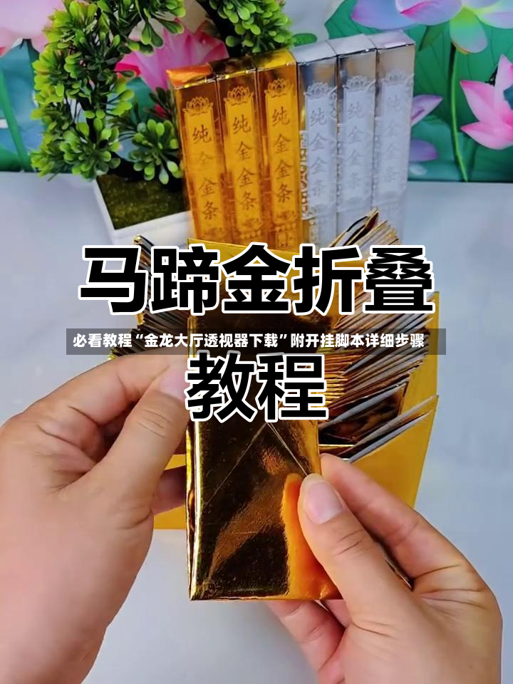 必看教程“金龙大厅透视器下载	”附开挂脚本详细步骤-第2张图片