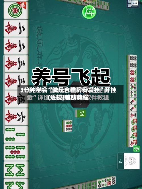 3分钟学会“微乐自建房安装挂”开挂(透视)辅助教程-第3张图片