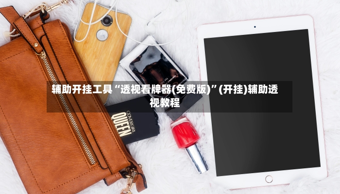 辅助开挂工具“透视看牌器(免费版)”(开挂)辅助透视教程-第2张图片