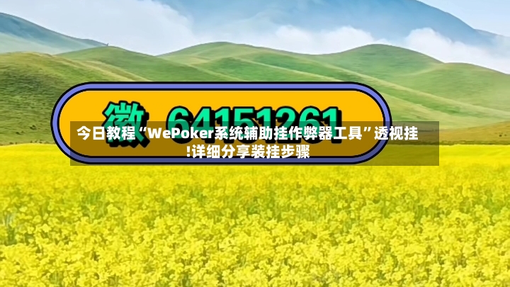 今日教程“WePoker系统辅助挂作弊器工具	”透视挂!详细分享装挂步骤-第3张图片
