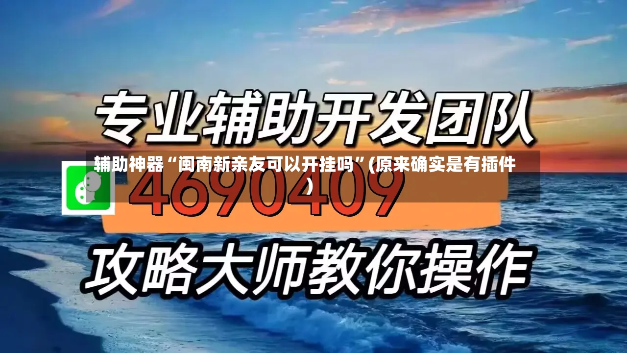 辅助神器“闽南新亲友可以开挂吗”(原来确实是有插件)-第3张图片
